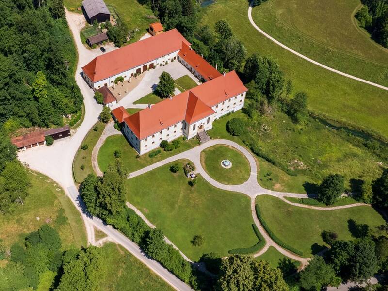Blick auf Schloss Ehrenfels aus der Luft.