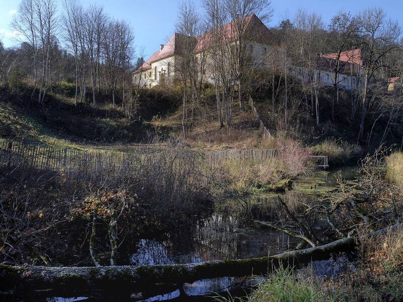 Blick auf Schloss Ehrenfels mit kahlen Bäumen und dem Hasenbach im Vordergrund.