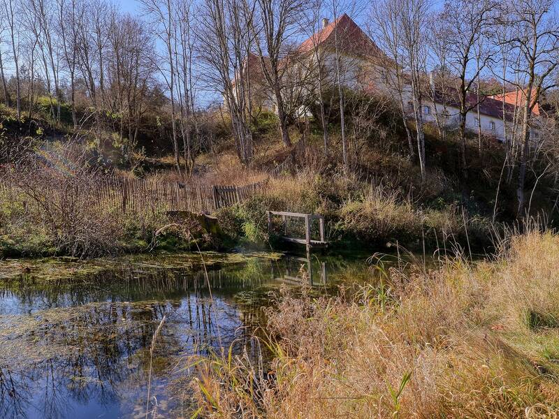 	Blick auf Schloss Ehrenfels mit dem Hasenbach im Vordergrund.