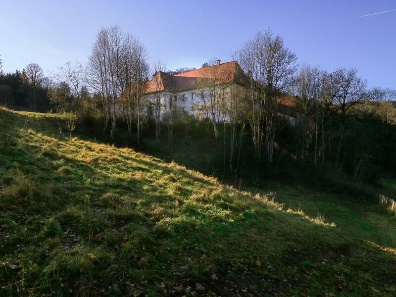 	Blick auf Schloss Ehrenfels hinter Bäumen versteckt.