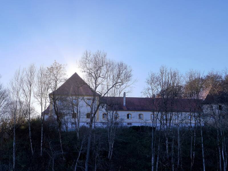 Blick auf Schloss Ehrenfels hinter kahlen Bäumen und der Sonne im Hintergrund.