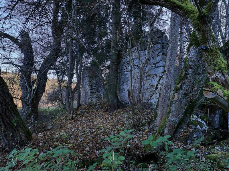 Mauerreste im Wald bei Schloss Ehrenfels.