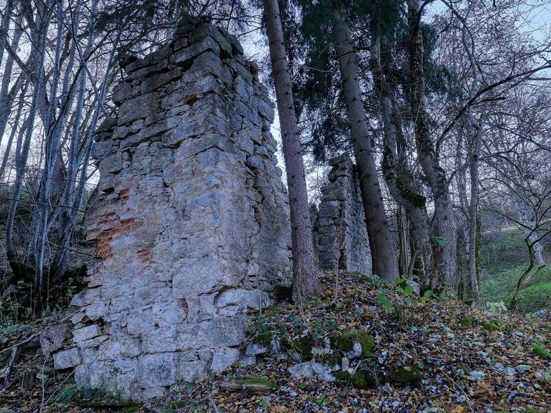 Mauerreste im Wald bei Schloss Ehrenfels.
