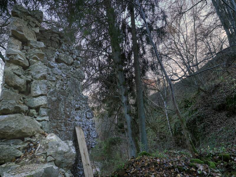 Mauerreste bei Schloss Ehrenfels im Wald.
