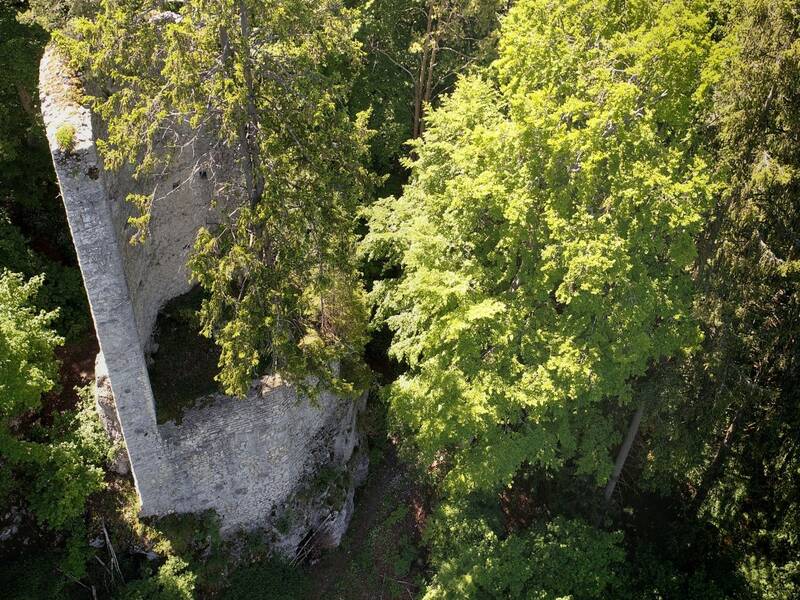 Blick auf Ruine Hohenerpfingen aus der Luft.