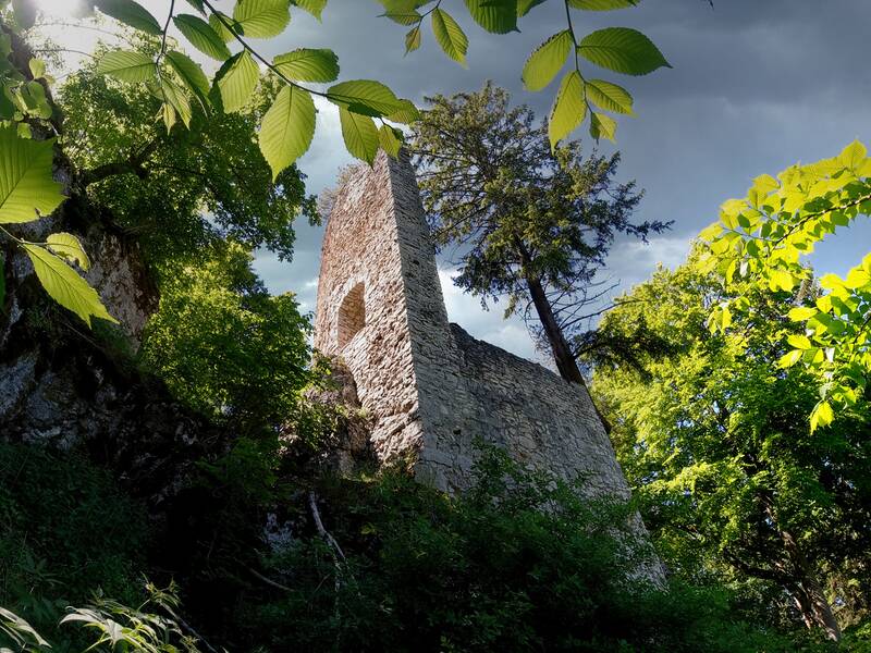 Blick auf die Ruine Hohenerpfingen von unten herauf mit Ästen im Vordergrund und der Sonne hinter Bäumen im Hintergrund.
