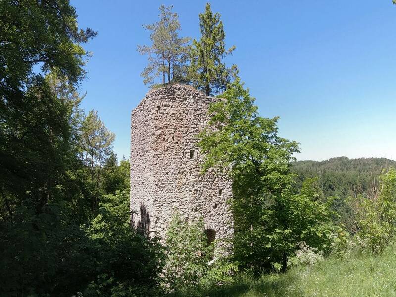 Blick auf Hohenerpfingen.