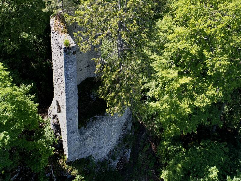 Blick auf die Ruine Hohenerpfingen aus der Luft und von großen Bäumen umgeben.