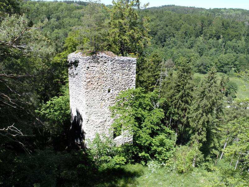 Blick auf die Ruine Hohenerpfingen aus der Luft, inmitten eines Waldes.