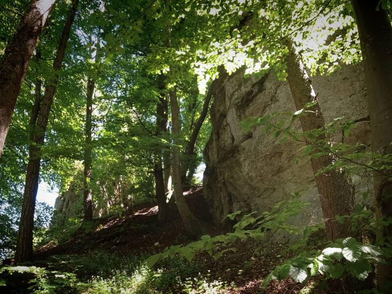 Blick auf die Felsen bei Hohenerpfingen.