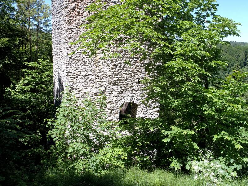 Die Ruine Hohenerpfingen in einem Wald verschlungen.