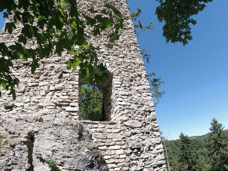Blick auf die Fenster in der Ruine Hohenerpfingen mit Ästen im Vordergrund.