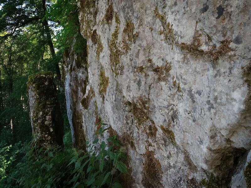 Felsen bei Hohenerpfingen.