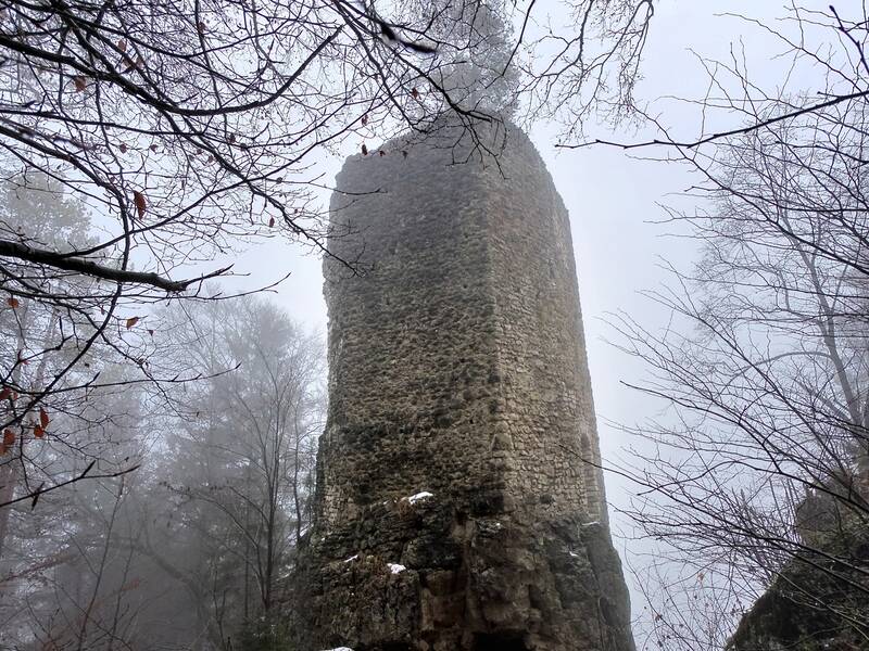 Blick auf die Ruine Hohenerpfingen, umgeben von kahlen Bäumen bei Nebel im Winter.