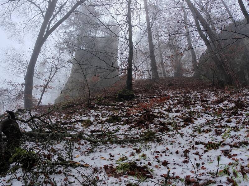 Blick auf die Ruine Hohenerpfingen von unten herauf, hinter kahlen Bäumen versteckt bei Nebel und Schnee im Winter.