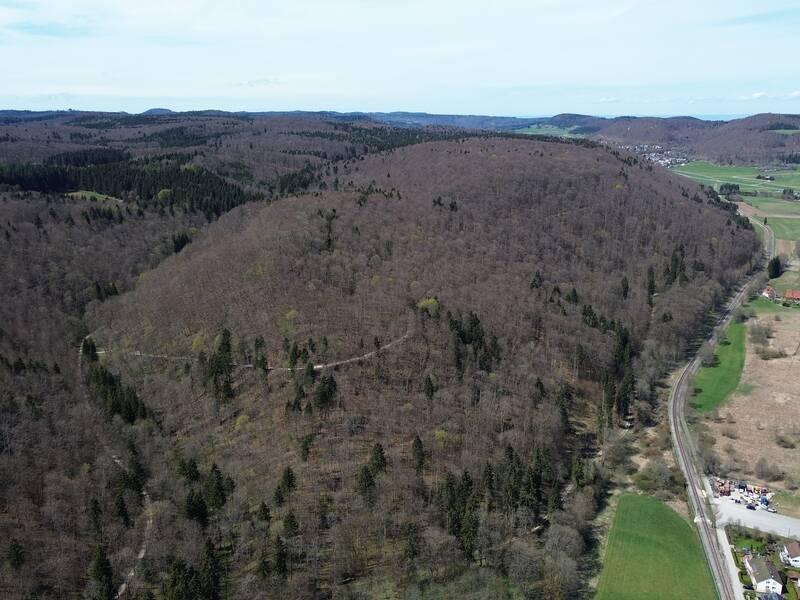 Blick von Gauselfingen in Richtung Nordwesten auf den Bergrücken mit der Burg Hasenfraz.