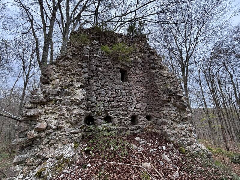 Turmartiges Gebäude im Westteil von Burg Hasenfraz (3).