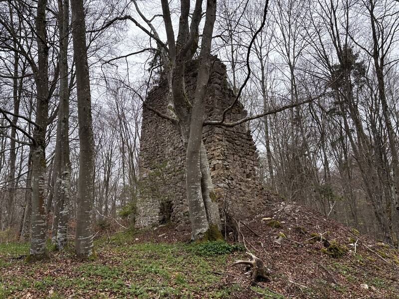 Turmartiges Gebäude im Westteil von Burg Hasenfraz (3) von außen.