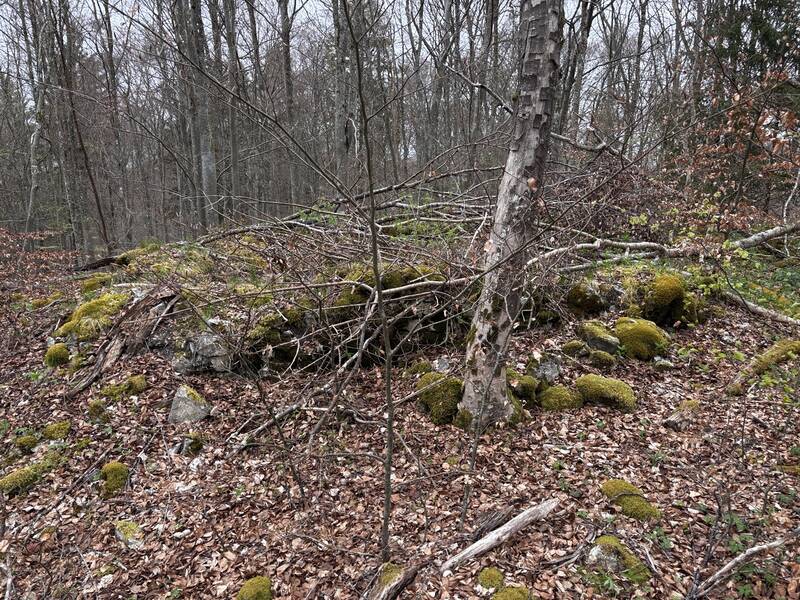 Gebäudegrundriss im Westteil der Burg Hasenfraz (4).
