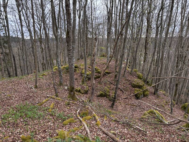 Ostteil der Burg Hasenfraz mit grabenartigem Einschnitt (1).