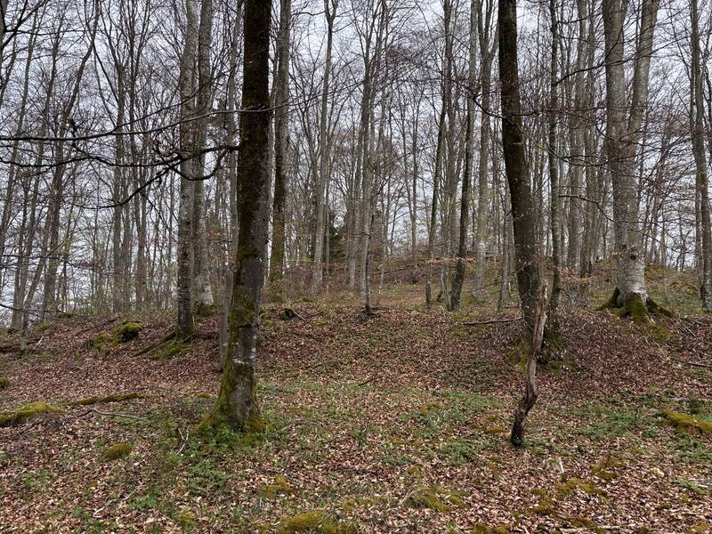 Die westliche Vorbefestigung aus Wall und Graben bei Burg Hasenfraz (9-12).