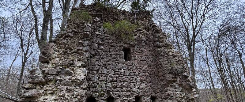 Die Burgruine Hasenfraz bei Gauselfingen ist eine Anlage mit Turmresten und tiefen Gräben. Sie zählt zu den spannendsten Wanderzielen im Laucherttal.