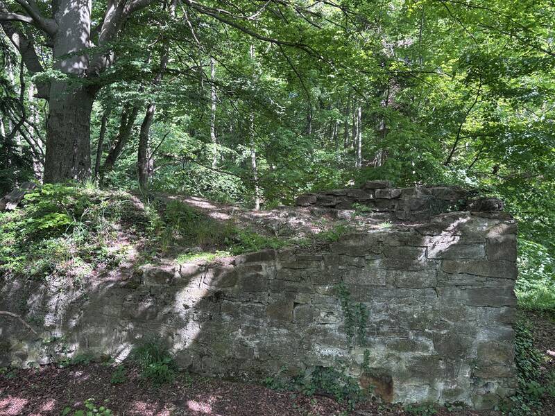 Die Schildmauer der Burg Ror von Süden her (2).