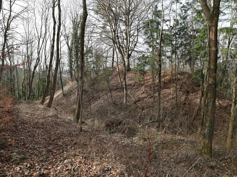 Blick auf die abgegange Kernburg der Burg Ror mit Halsgraben im Vordergrund.