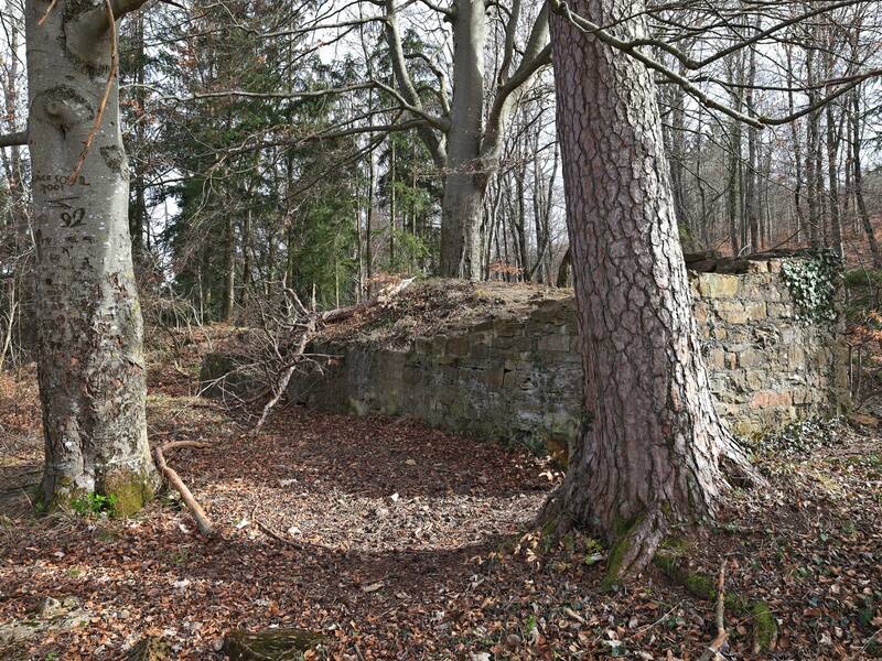 Schildmauer der Burg Ror.