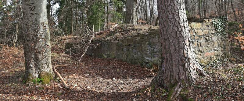 Die Burgruine Ror bei Bisingen liegt auf einem bewaldeten Sporn am Albtrauf. Sie stammt aus dem 12. Jahrhundert. Reste der Schildmauer sind zu erkunden.