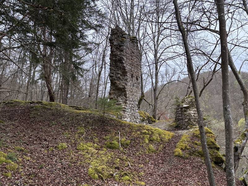Blick von Osten auf Burg Leckstein.