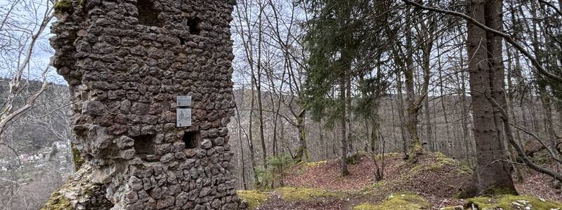 Blick von Westen auf den Gebäuderest (2, 3) der Burg Leckstein.