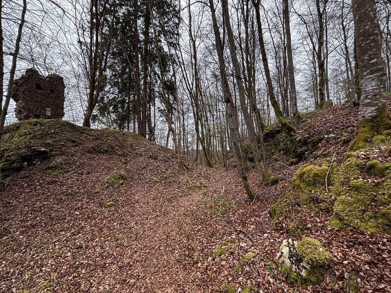 Blick von Westen in den Graben der Burg Leckstein.