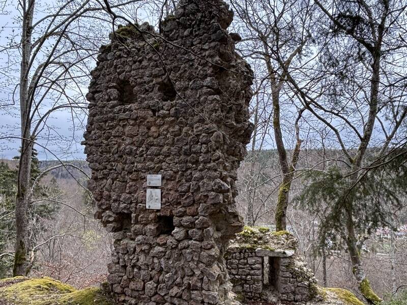 Blick von Norden auf den Gebäuderest (2, 3) der Burg Leckstein.