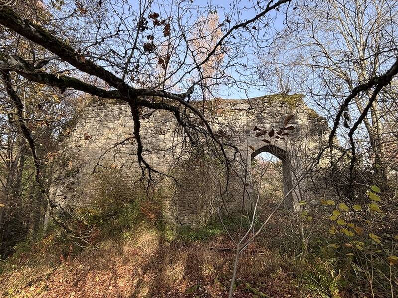 Schildmauer der Hainburg von innen (1).