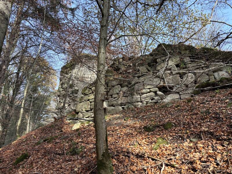 Umfassungsmauer der Hainburg (8).