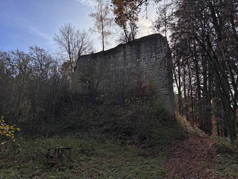 Schildmauer der Hainburg von außen (1).