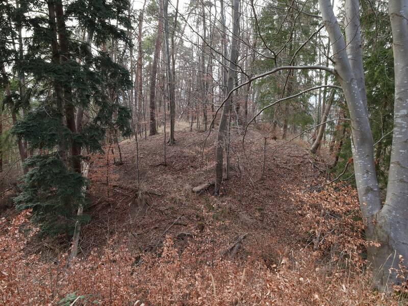 Blick in den Halsgraben auf die Vorburg der Burg Hirschberg.