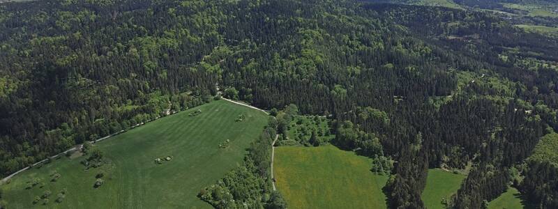 Blick von der Burg Hirschberg nach Südwesten auf den Bergrücken mit der Burg Hirschberg im Vordergrund.