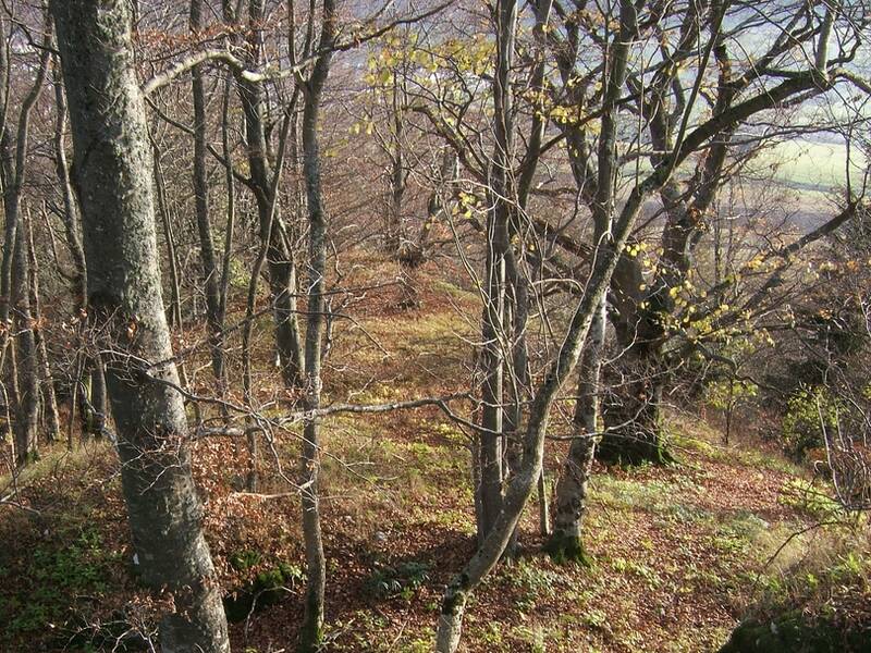 Blick von der Kernburg der Burg Azilun nach Süden auf die Terrasse (4).