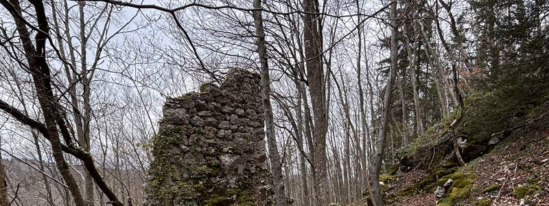 Ruine des Wohnturms der Burg Ringelstein.