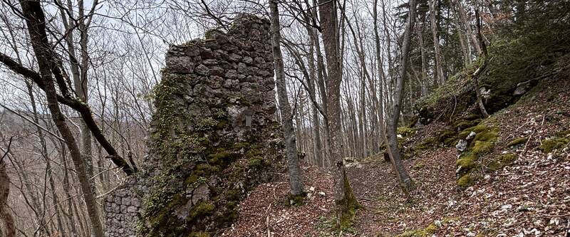 Die Burgruine Ringelstein (Aloisschlössle) bei Ringingen war eine der wenigen Turmburgen, die ausschließlich aus einem Wohnturm bestand.